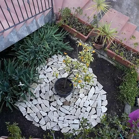 Le Grand Soleil *